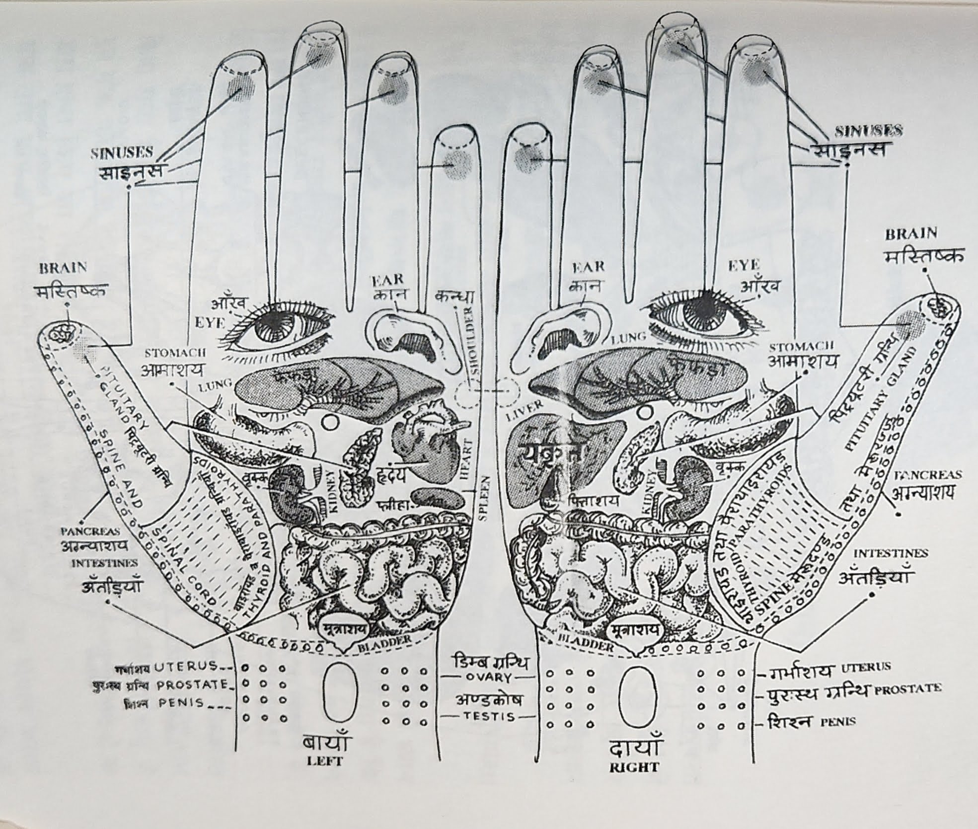 Hand%20accupressure%20points